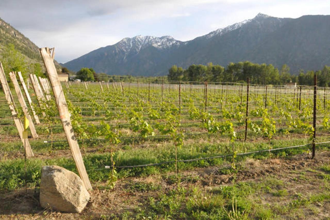 Similkameen Wild Resort & Winery Retreat Osoyoos Luaran gambar